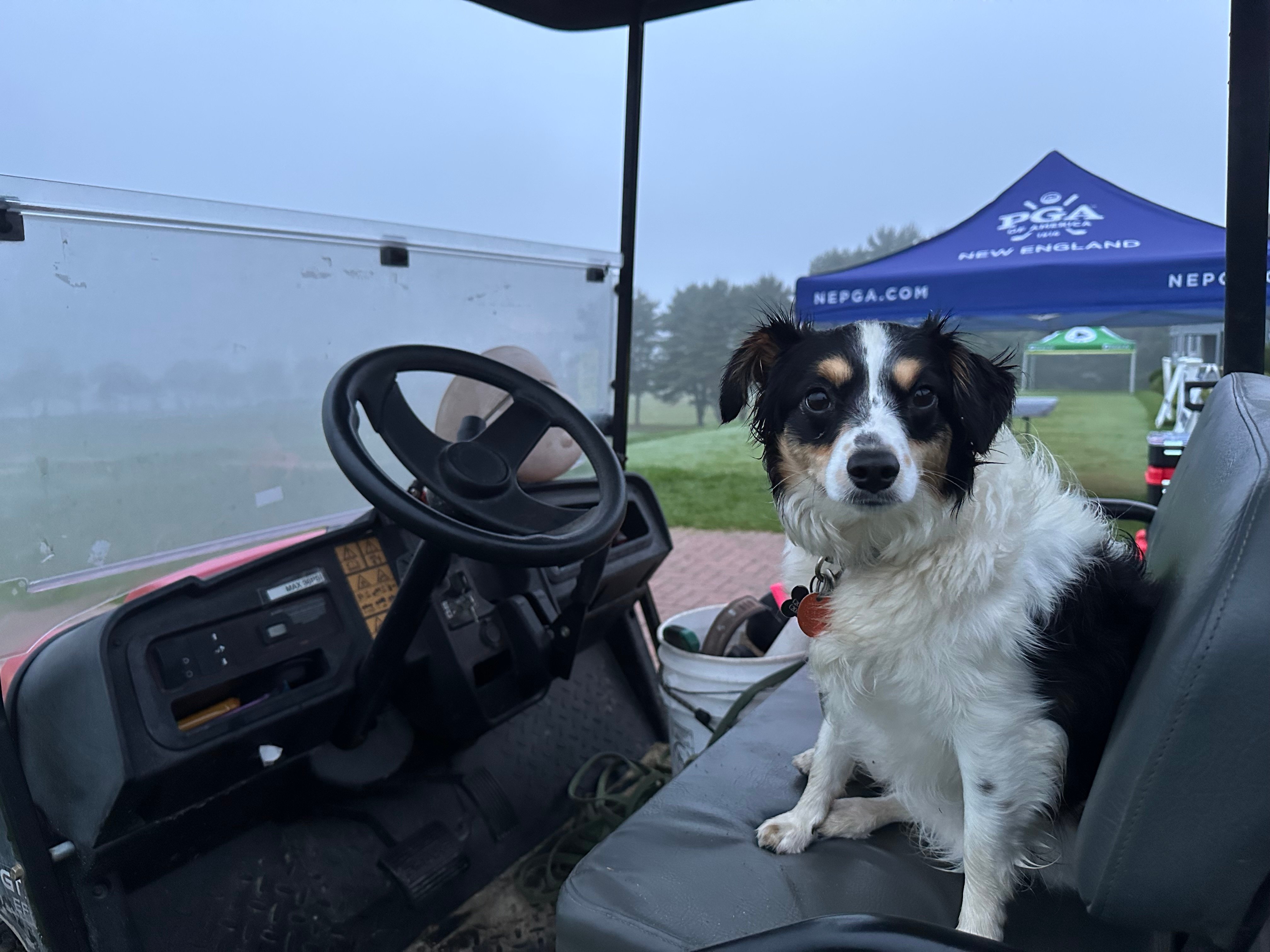 Beans. Head Groundskeeper for
