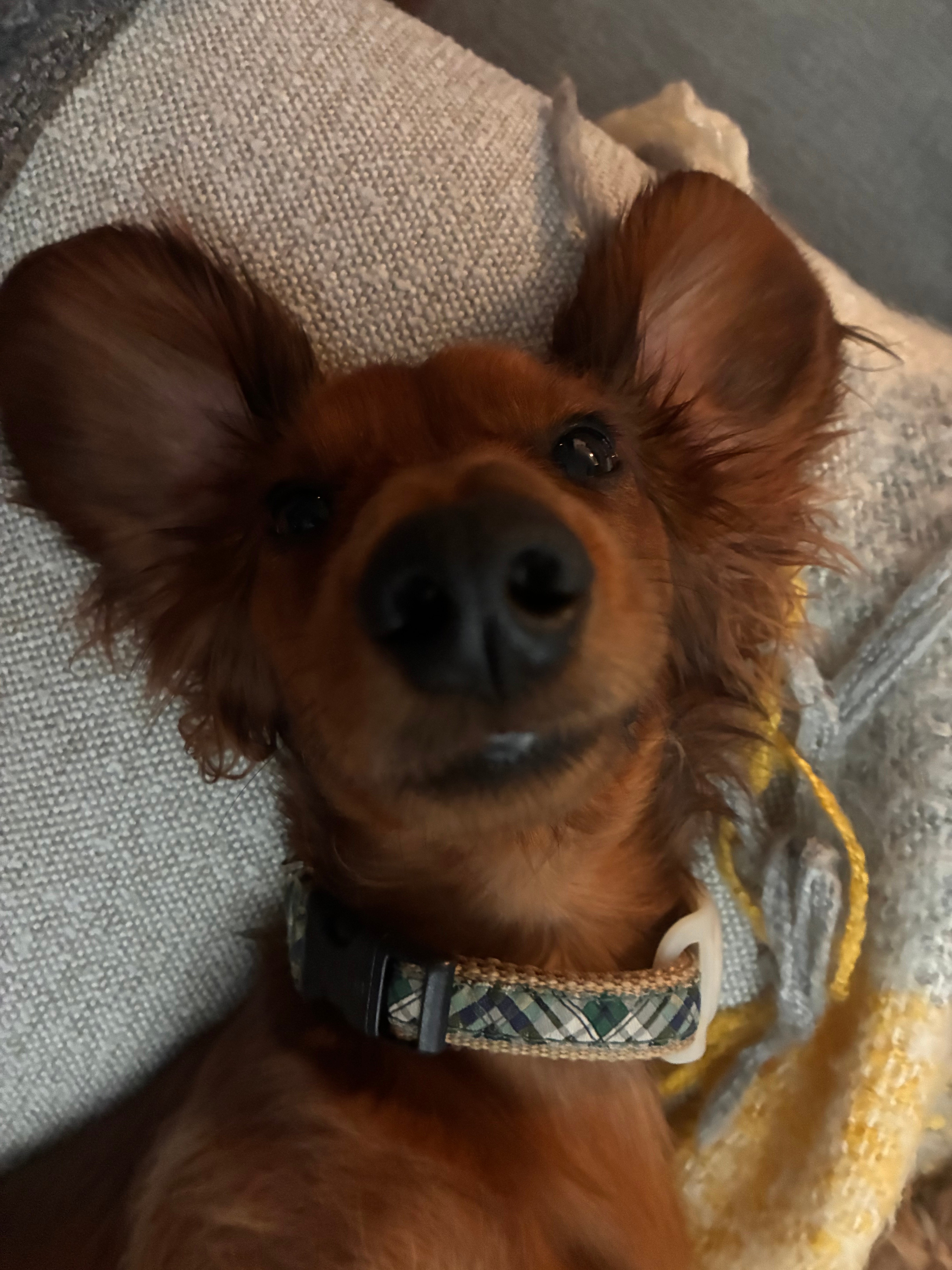 winston