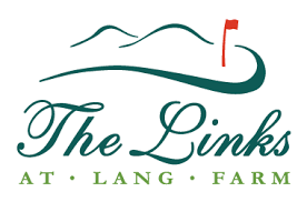 links logo links logo